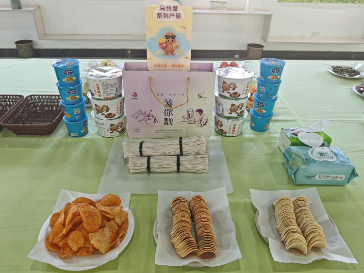 山丹縣霍城鎮：奏響經濟發展“三部曲”，繪就鄉村振興新畫卷_fororder_IMG_20250729_084734