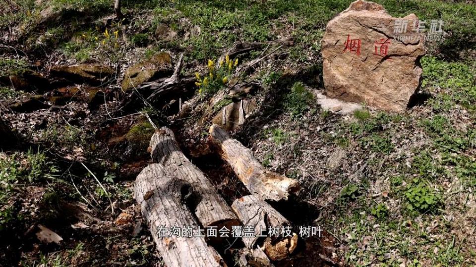 山河印記·尋訪抗戰足跡丨炊煙無痕 抗聯密營裏的“消煙道”