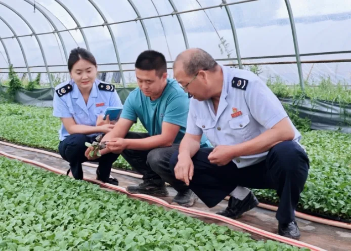 張掖：合規經營産業旺 稅惠春風暖企心_fororder_3