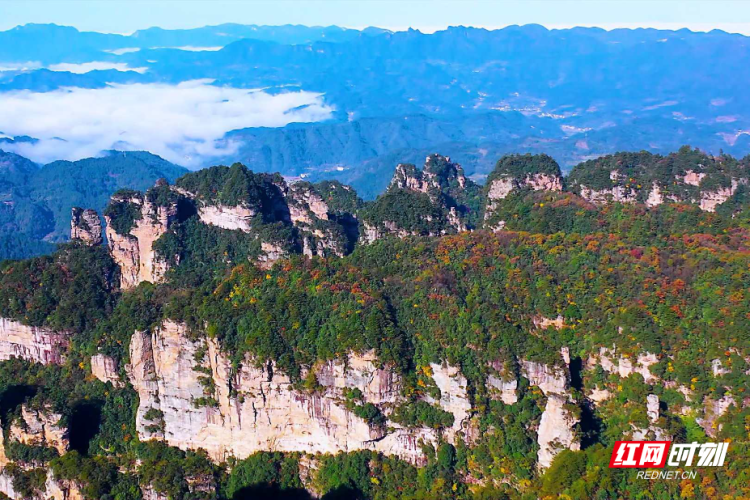 秋分時節楊家界秋意正濃，山林漸染引客來_fororder_2