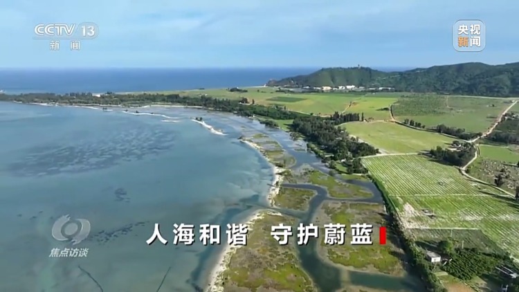 焦點訪談丨保護海洋生態 守好人海和諧的藍色家園