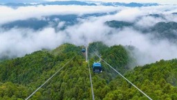 6天接待超8萬人次！雪峰山索道點亮湖南文旅新版圖