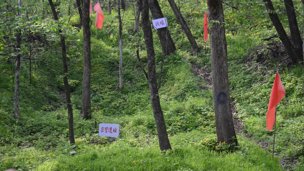 銘記歷史 緬懷先烈|白山黑水見證：從烽火硝煙到振興熱土的巨變