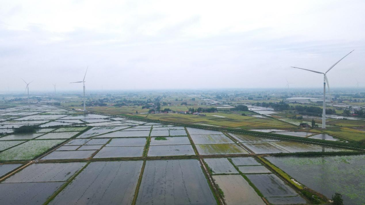 風車舞洞庭 “綠”自風中來——湖南首個規模化平原混塔風電項目投産_fororder_4