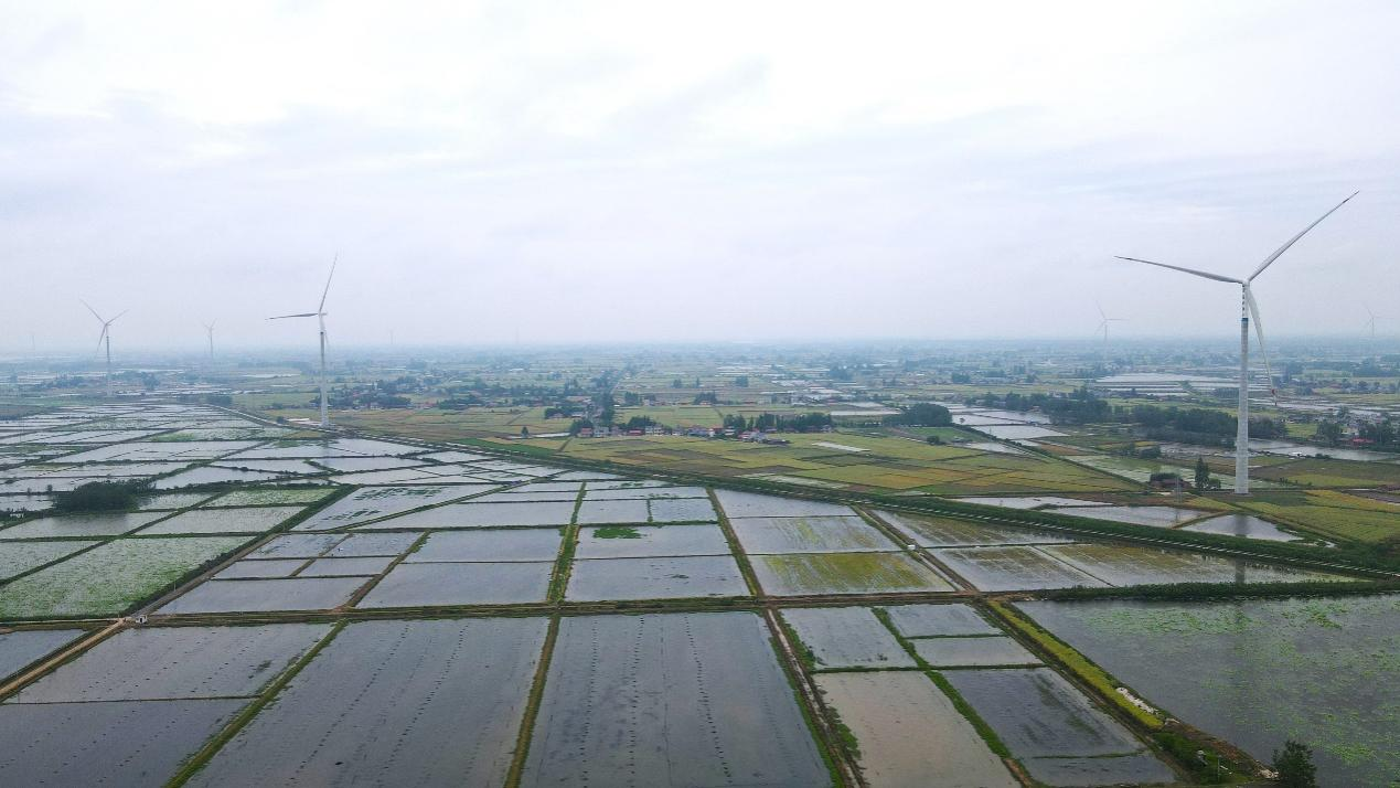 風車舞洞庭 “綠”自風中來——湖南首個規模化平原混塔風電項目投産_fororder_4