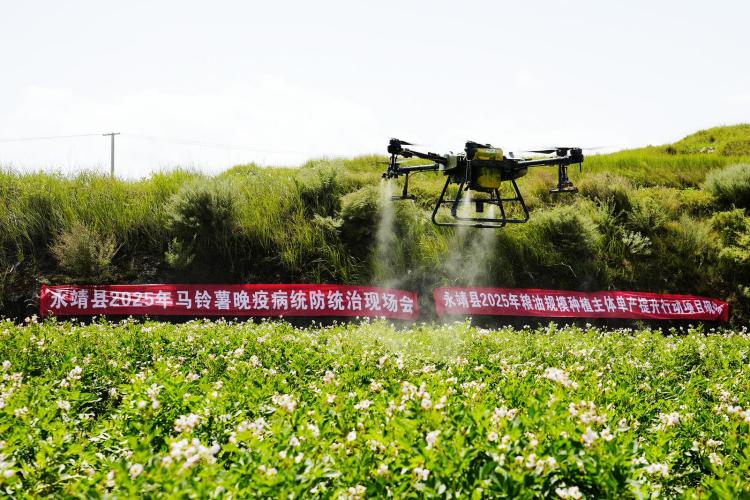 臨夏永靖：科技賦能興農業 植保飛防助增收