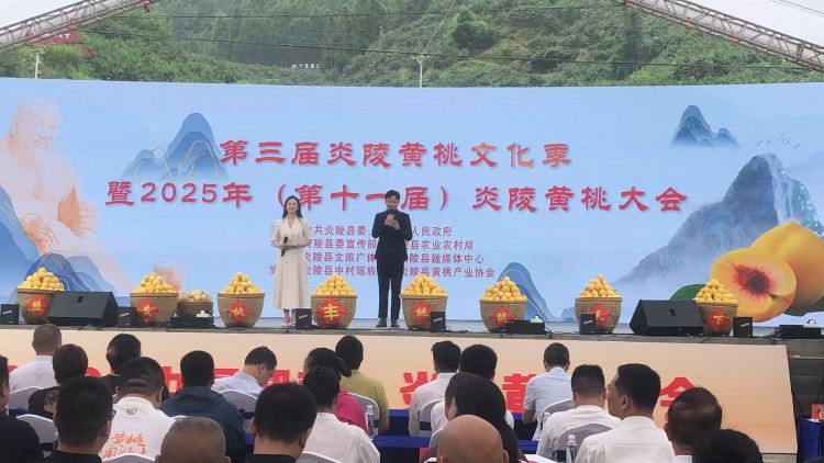 2025第三屆炎陵黃桃文化季暨第十一屆炎陵黃桃大會啟幕_fororder_微信圖片_20250728151521