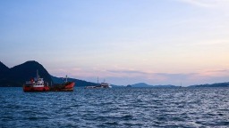 第八屆進博會按年計意向成交額突破834億美元