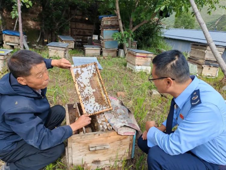 甘南稅務：稅惠潤沃土 甜蜜滿高原_fororder_640