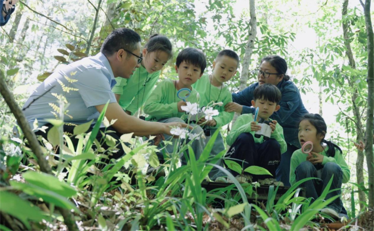 Jiangxi Yifeng Electric Power: Parent-Child "Green Exploration" Activity Promotes Ecological Awareness_fororder_圖片8