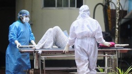 尼帕病毒或引發全球大流行?專家:不是新病毒,國內沒病例,別慌!