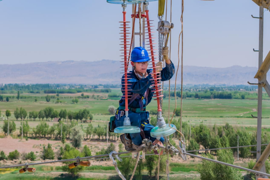 State Grid Zhangye Power Supply Company: Protecting Migratory Birds and Promoting Biodiversity_fororder_圖片8