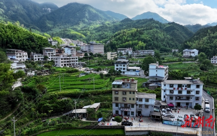 湖南桂東旅居避暑遊持續升溫_fororder_微信圖片_20250724094437
