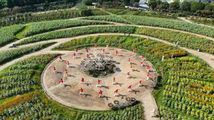 國慶打卡金色花海！湖南省植物園首屆國潮文化藝術節啟幕_fororder_1
