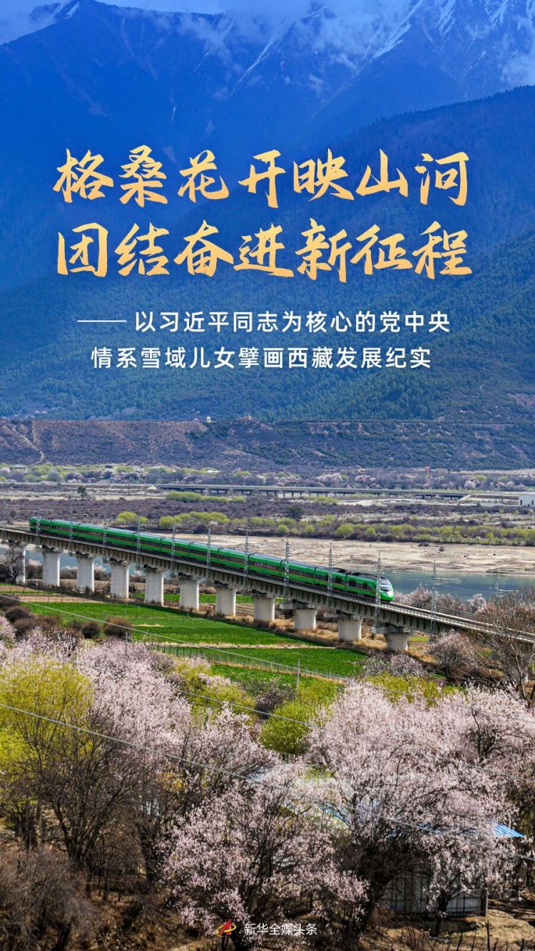 格桑花開映山河 團結奮進新征程——以習近平同志為核心的黨中央情係雪域兒女擘畫西藏發展紀實_fororder_1