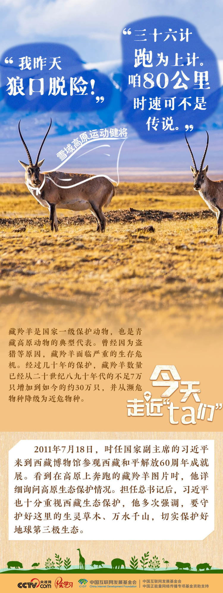 天天學習｜習近平特別關注的“TA們”