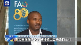聯合國糧農組織官員：中方有力支持發展中國家發展特色農産品