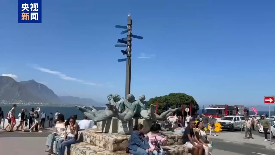 記者Vlog丨南非赫曼努斯“鯨魚節” 生態與文化交織的海洋盛會