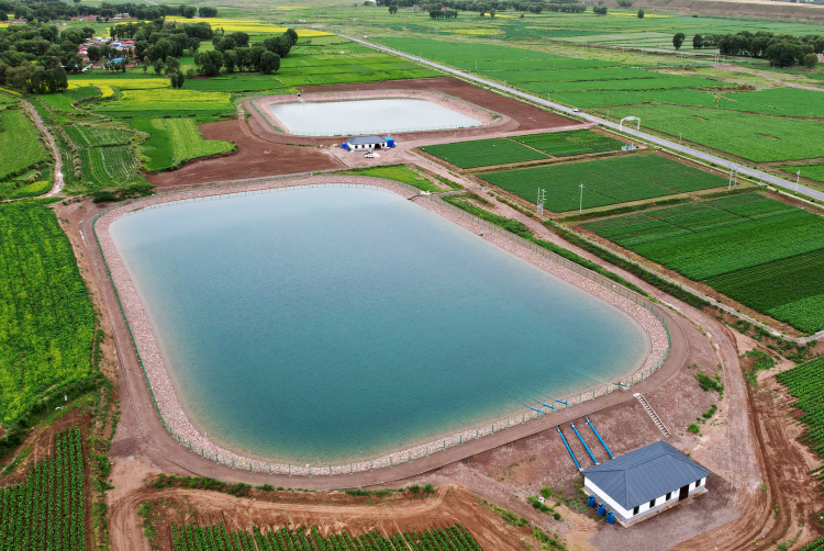 山丹縣霍城鎮：奏響經濟發展“三部曲”，繪就鄉村振興新畫卷_fororder_DJI_0948