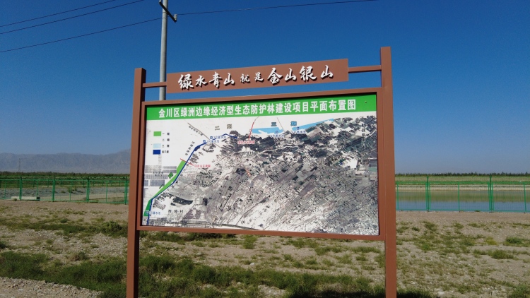 甘肅金川：三北防護林築起“綠色長城” 荒漠變綠洲書寫生態民生共贏答卷_fororder_2