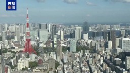 5月日本對美出口同比大降 專家：美關稅政策對日本影響顯現
