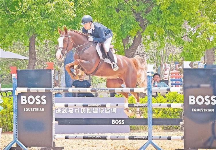 寧夏馬術隊首次闖入全運會場地障礙賽決賽