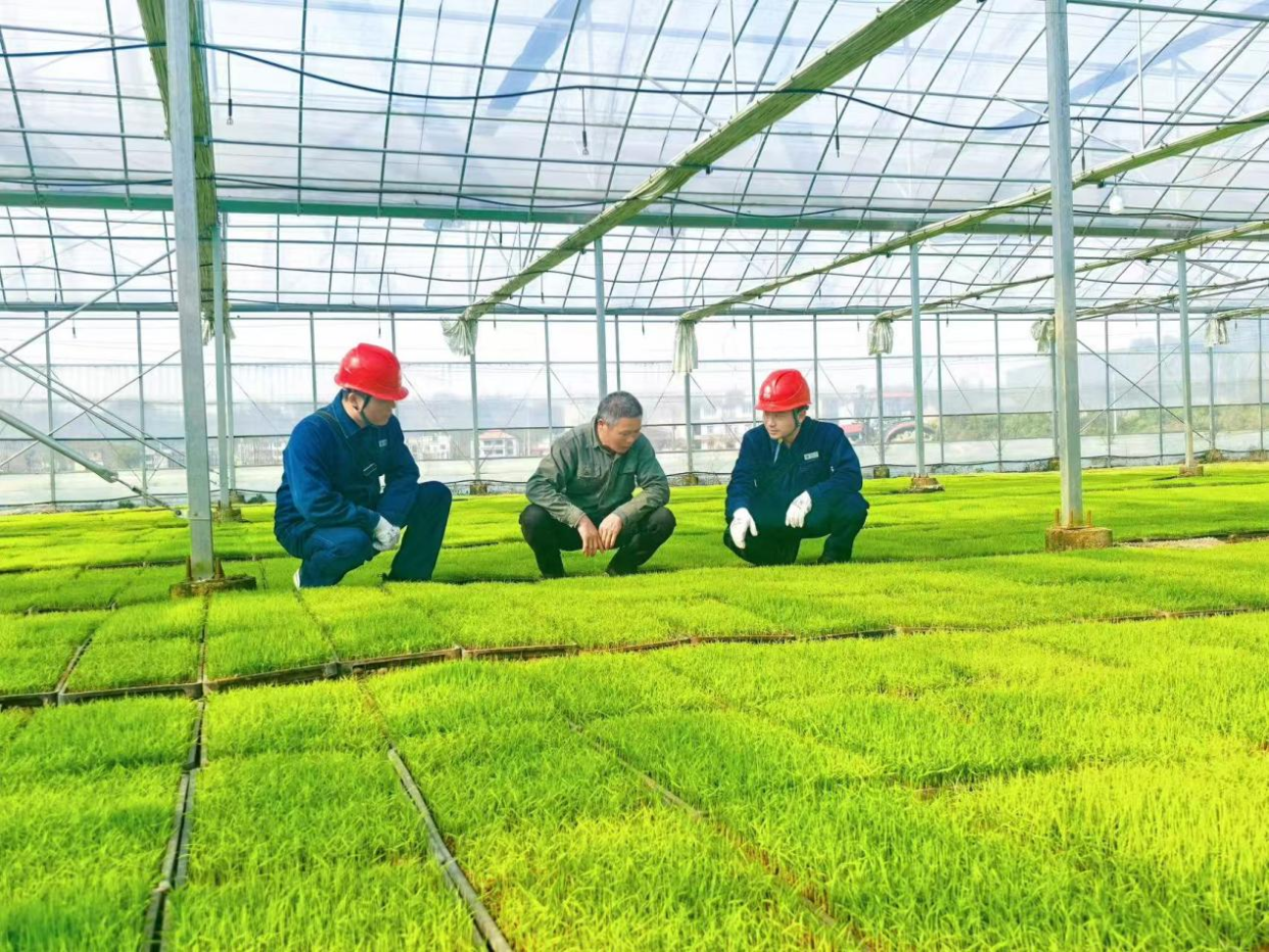 Smart Farming: Powering the Future of Harvest_fororder_圖片2