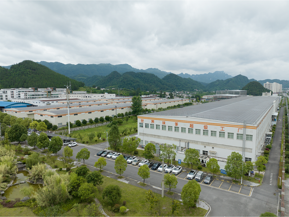 A New Paradigm of “Intelligent Tea Manufacturing”: Guizhou Matcha Aroma Spreads Worldwide_fororder_圖片3