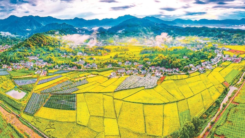 大地鋪金