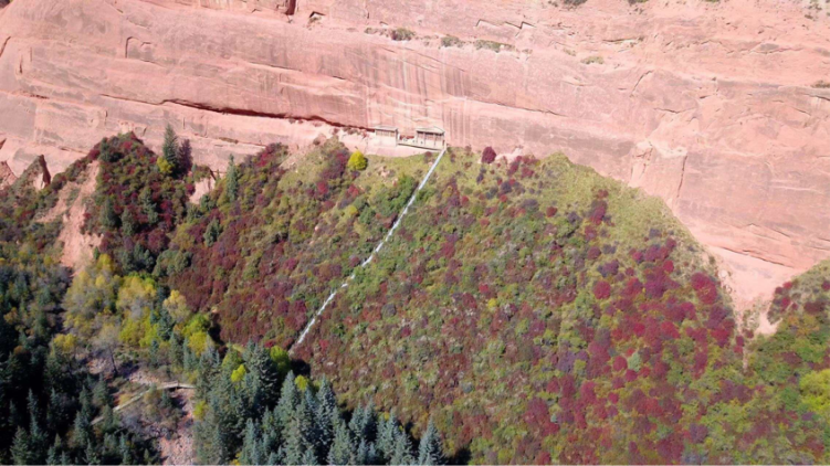 【何以中國·壁畫裏的中國】一位守窟人的二十年：與孤寂為伴，以赤誠守護“國寶”