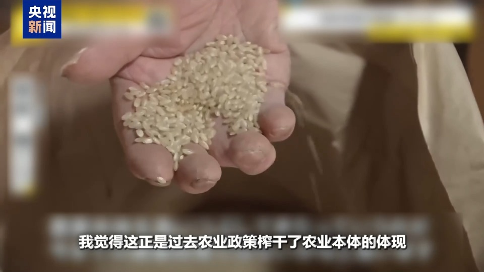 “米荒”還在持續 米價咋就難倒了這個“吃米大國”？