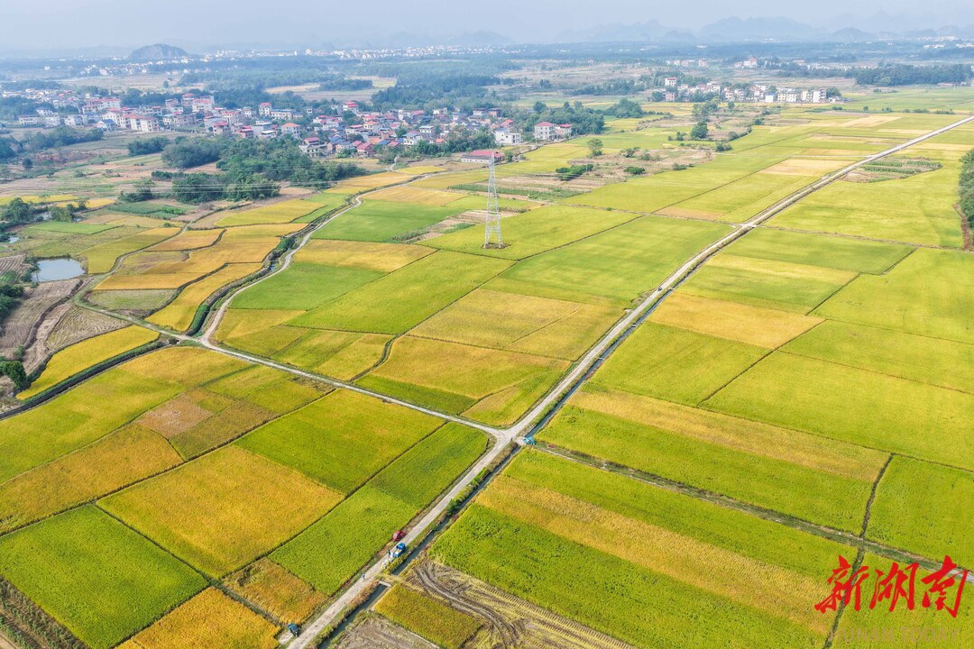 湖南道縣沃野繪“豐”景_fororder_1761609988613