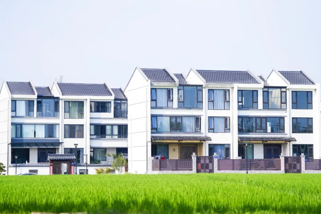 Luoshe Town, Wuxi City: The Ever-Blooming “Flower of Jiangnan”_fororder_圖片13