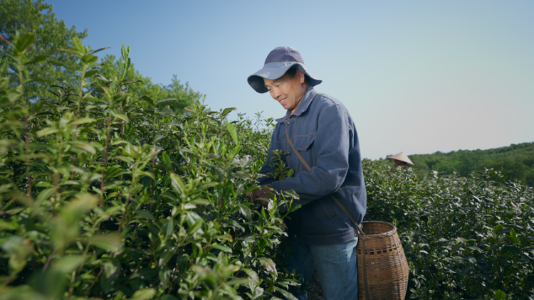 鄉村振興在行動｜農旅融合、産業賦能、人才歸巢，讓鄉村有“顏”更有“值”_fororder_農旅2