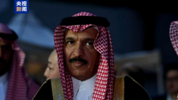 沙特駐伊朗大使：支持地區局勢降溫