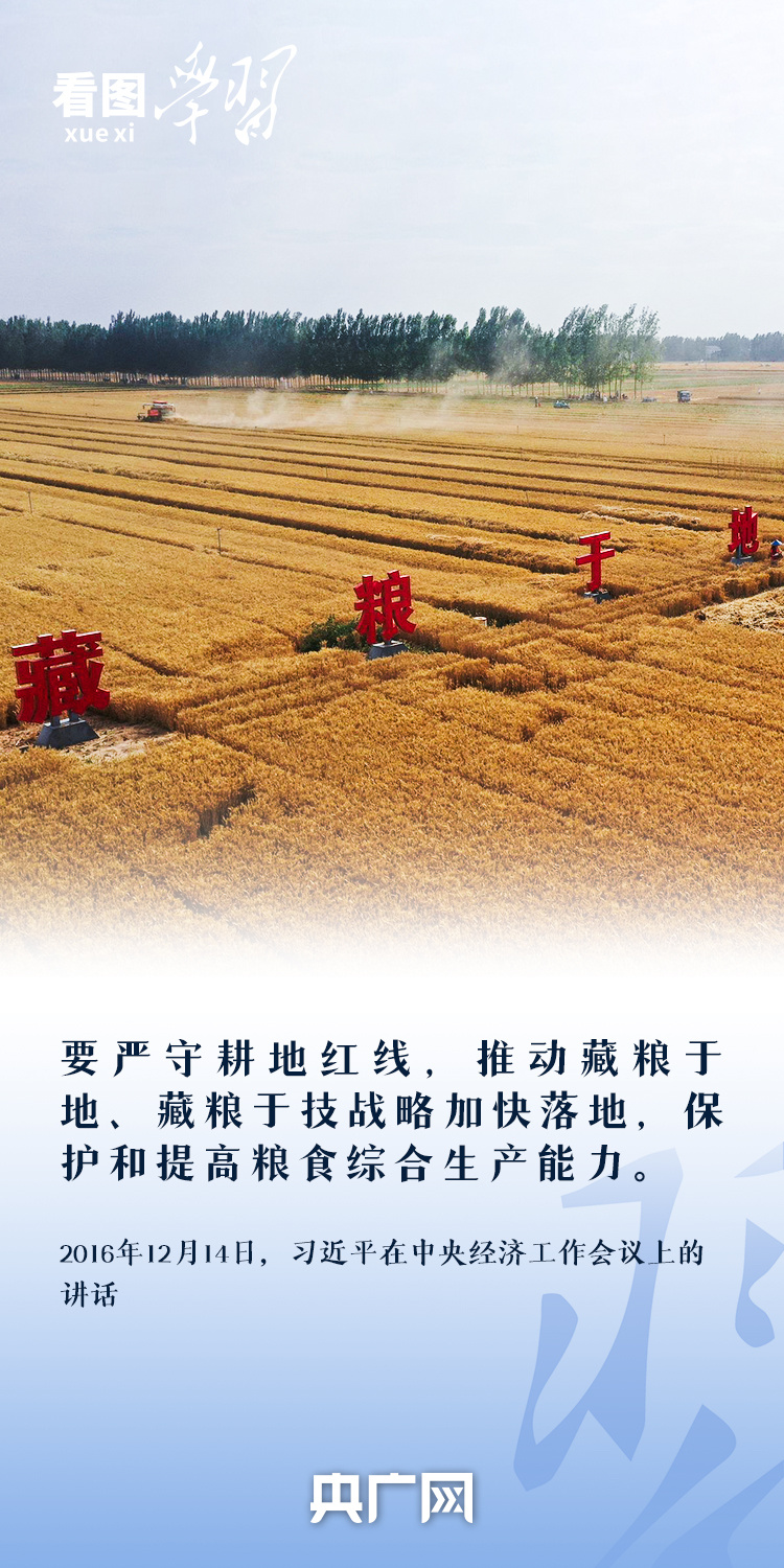 看圖學習丨“守住耕地這個命根子” 總書記心繫耕地保護