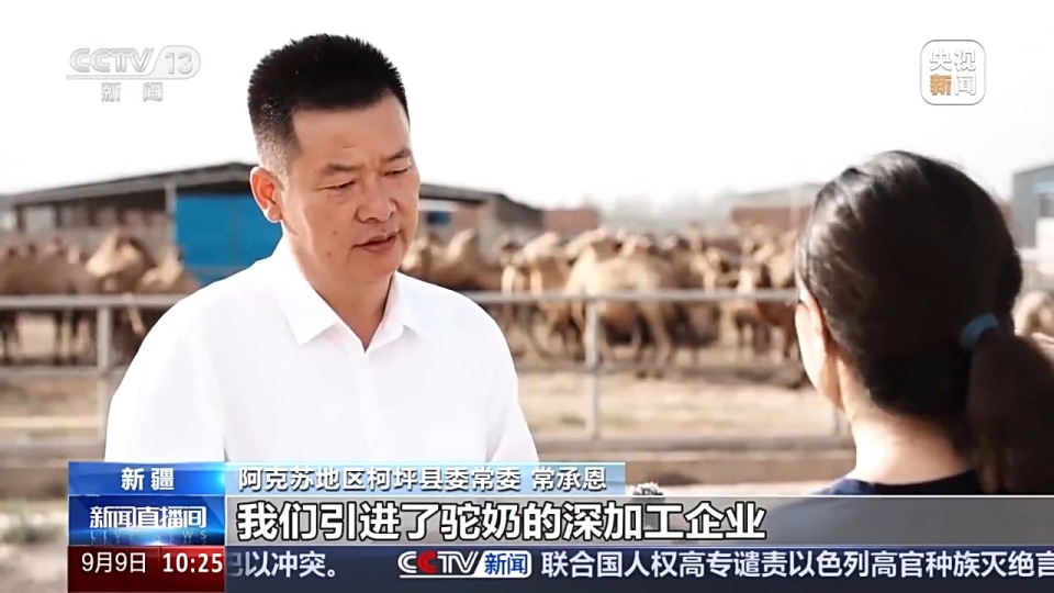 砥礪奮進七十載 天山南北譜華章丨從沙漠之舟到産業之舟 新疆駱駝産業用上智慧化生産線