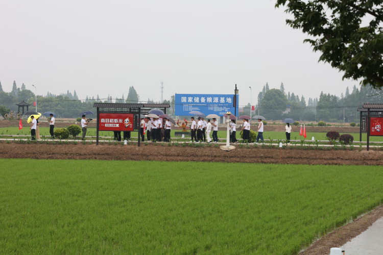 一堂培訓搞活水稻田 湖南洞口稻蝦産業出圈_fororder_2
