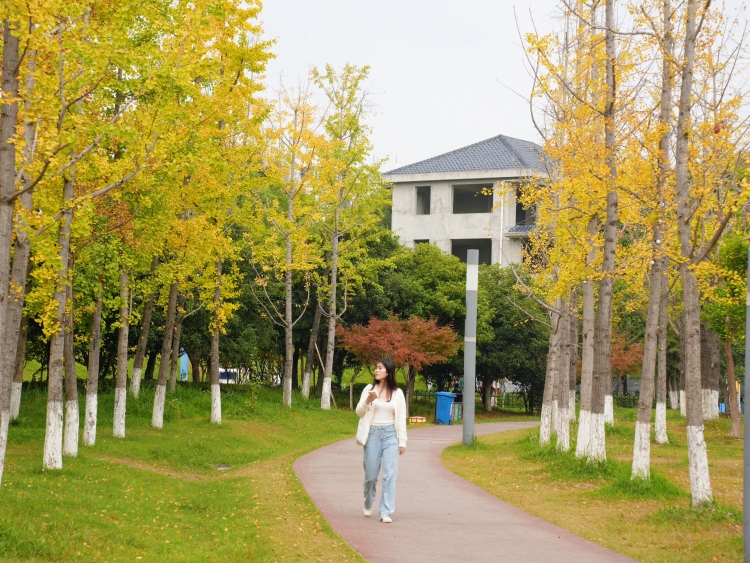 圖片默認標題_fororder_1