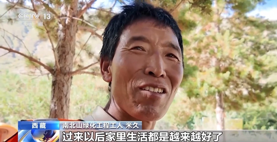 4年栽植苗木1.2億多株 看拉薩高原如何披“綠裝”