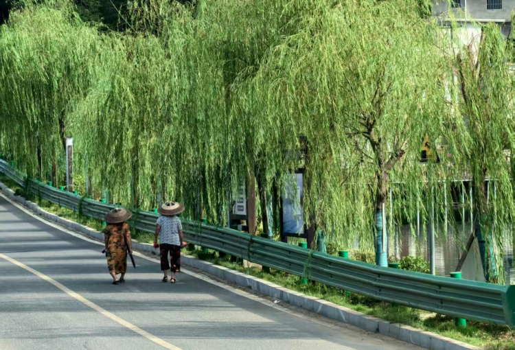 槳板激起千重浪——四屆中國槳板超級聯賽帶來的湖南邵陽縣之變_fororder_7