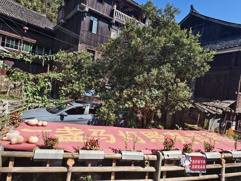 圖片默認標題_fororder_1760572502510