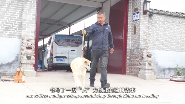 After 16 Years of Dedication, Shiba Inu Breeding Boosts Rural Courtyard Economy in Dongying_fororder_微信截圖_20250606152537(1)