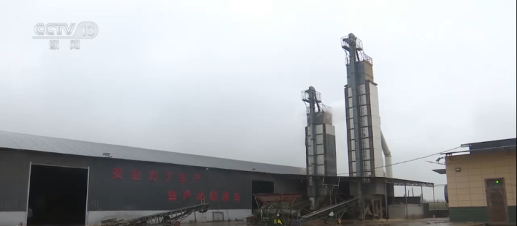 “幹”字當頭！各地多舉措保“三秋”生産 全力守護群眾“糧袋子”