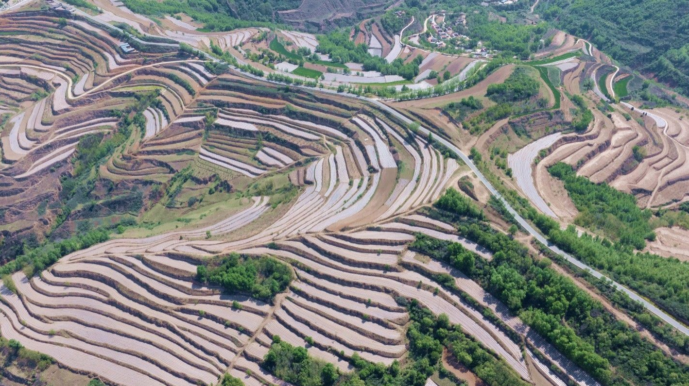 天水市秦安縣王鋪鎮：大力推進特色農業基地建設 築牢糧食安全防線_fororder_3