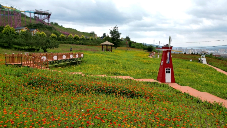 天水清水：花海打卡備受青睞 鄉村旅遊熱度上升_fororder_4