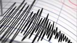 印度德里地區發生4.5級地震 多地震感強烈