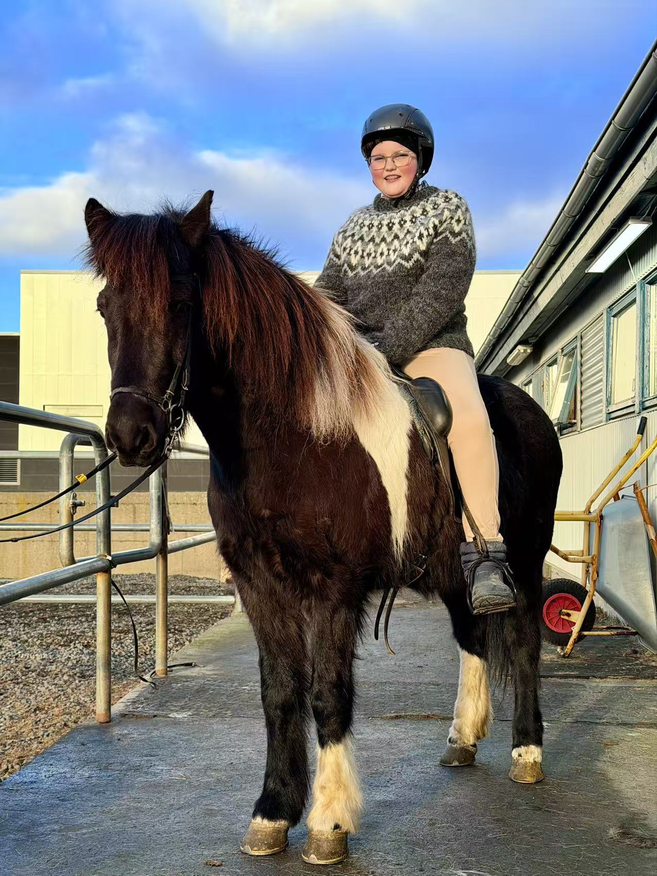 尋馬記 | 外表很萌 血統純正 揭開冰島馬的神秘面紗