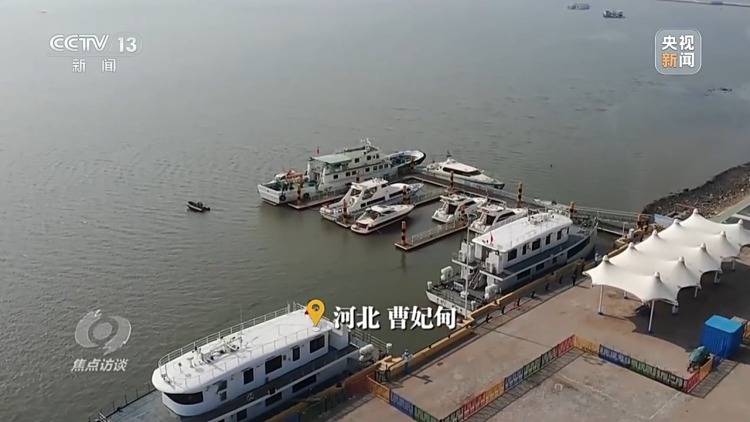 焦點訪談丨保護海洋生態 守好人海和諧的藍色家園