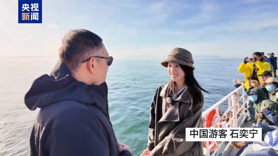 記者Vlog丨南非赫曼努斯“鯨魚節” 生態與文化交織的海洋盛會